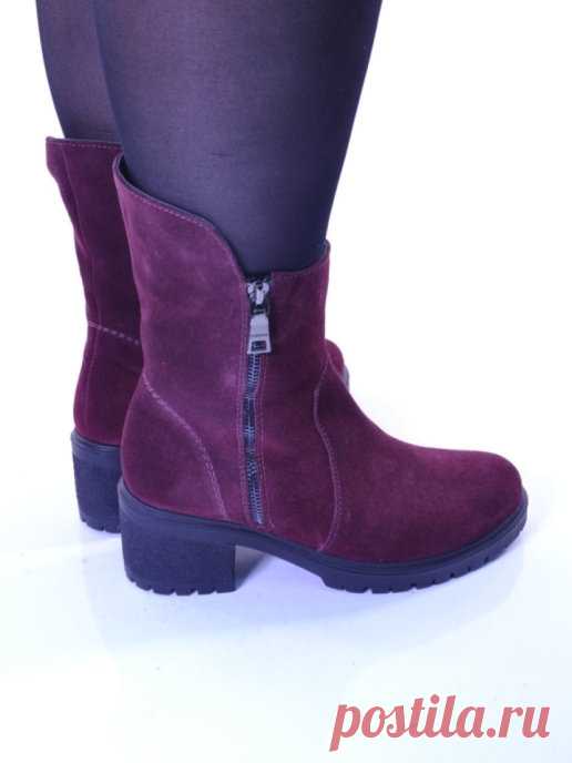Полусапожки ASCALINI 42125335 купить за 6 624 ₽ в интернет-магазине Wildberries