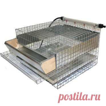 Клетка для 20 перепелов (PK04545-1) купить по низкой цене с доставкой по России - Мир Птиц
