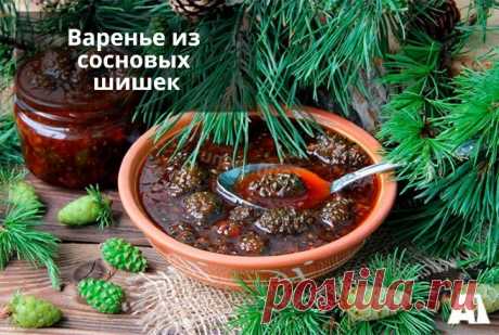 Варенье из сосновых шишек