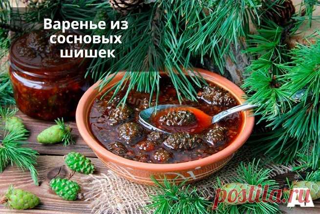 Варенье из сосновых шишек  Варенье не только сладкое и вкусное, но ещё и полезное.В каждом регионе сосновые зеленые шишки появляются по-разному. Например, у нас на Южном урале их лучше всего собирать в середине или конце июня. Такое варенье будет не только вкусное, но и полезное. Хорошо очищает легкие и...