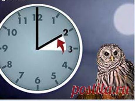 Наталия Серегина
&quot;Как ты провёл эту жизнь?&quot; -
     спросит тебя Бог.
&quot;Всё ли успел, всем ли теперь доволен?&quot;

&quot;С барских столов больших
     не собирал крох,
Не был, не состоял, даже не удостоен.

В сущности, жалоб нет.
     так, пустячок один,
Мне бы часок ещё, дело одно встало.&quot;

&quot;Быть по-сему, иди,&quot; -
     выдохнул Бог в ответ
И прошептал: &quot;Сколько ни дай - мало&quot;...