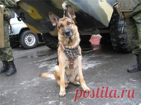 Для настоящих мужчин