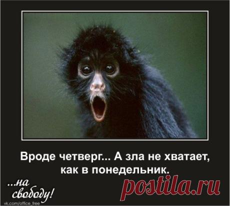 Фотографии на стене сообщества | 8 214 фотографий