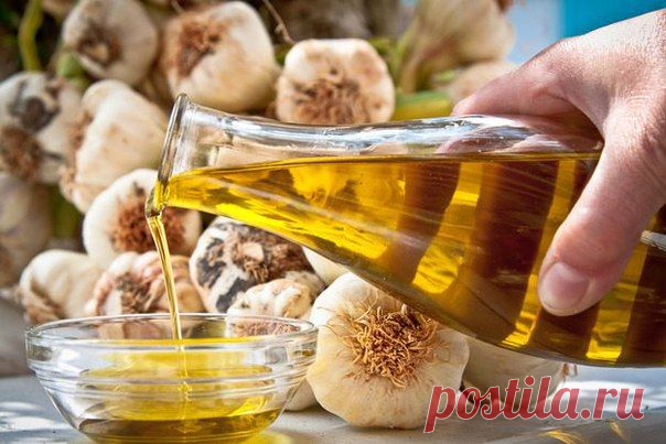 Мои закладки