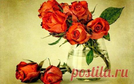 красивые картинки на рабочий стол - 1 млн картинок. Поиск@Mail.Ru