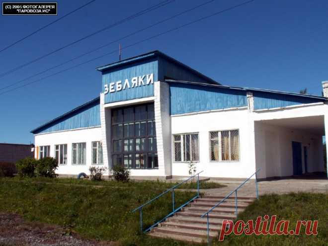 Просмотр фотографии