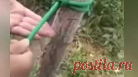 Как связать различные узлы