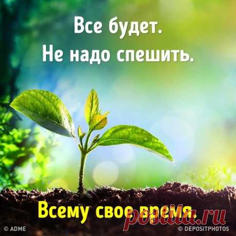 AdMe.ru