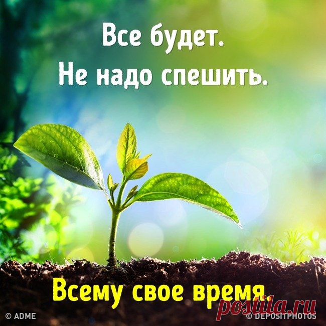 AdMe.ru