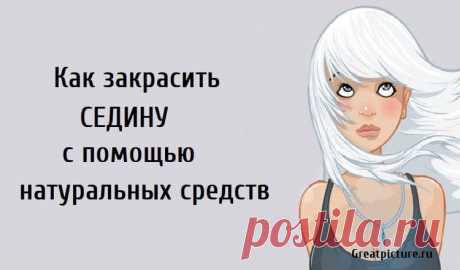 Как закрасить седину с помощью натуральных средств. Как закрасить седину с помощью натуральных средств.Мы все можем согласиться, что седые волосы могут быть ,неприятной проблемой, особенно