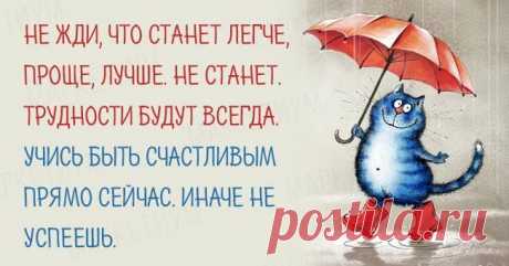 Страницы