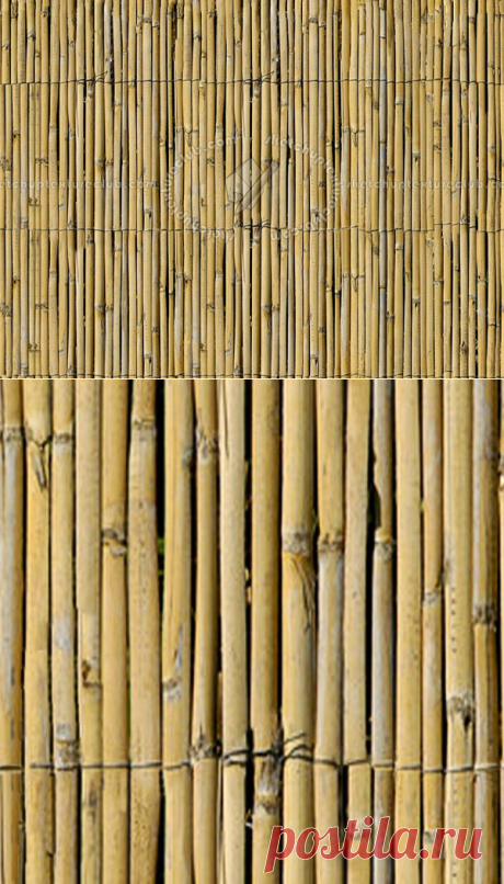 Texture seamless | Bamboo fence texture seamless 12291 | Textures - NATURE ELEMENTS - BAMBOO