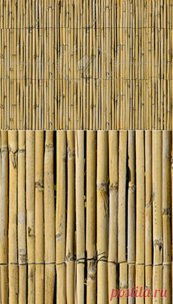 Texture seamless | Bamboo fence texture seamless 12291 | Textures - NATURE ELEMENTS - BAMBOO