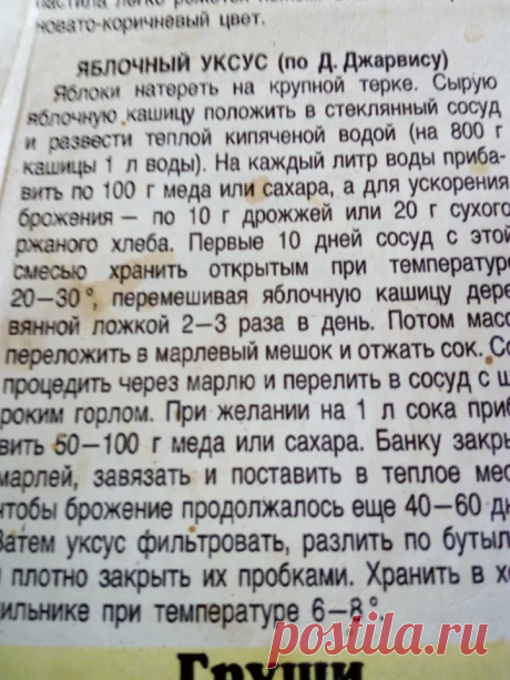 Готовлю яблочный уксус по рецепту из старого журнала почти 40 лет | Мадам из курятника | Яндекс Дзен