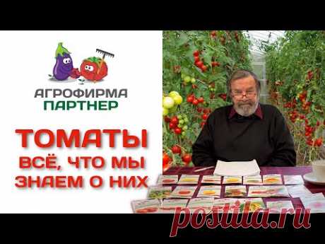Томаты. Все, что мы знаем о них. Лекция Н. П. Фурсова