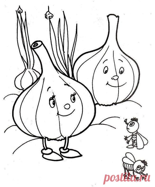 Раскраски чеснока скачать или распечатать