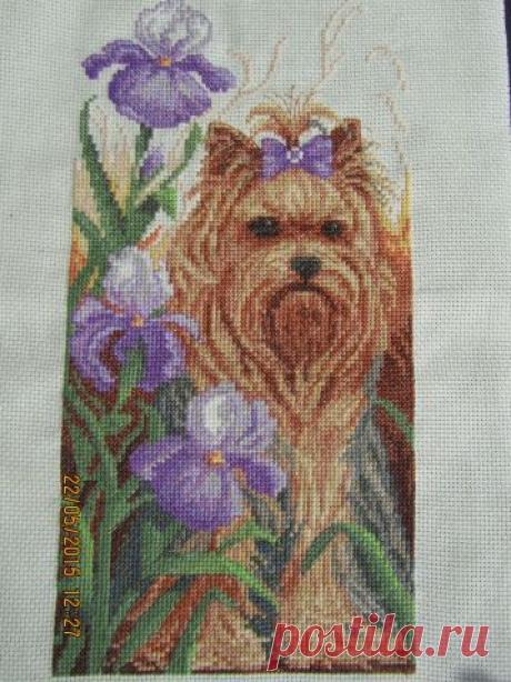 Вышивка крестом, лентами, бесплатные схемы вышивки, вышивка картин, гладью, икон, крестиком, вышивка цветов - Страница 5