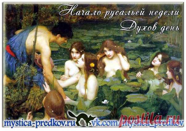 20 июня - День Святого Духа (следующий за Троицей понедельник),День летнего солнцестояния,Федот Страж