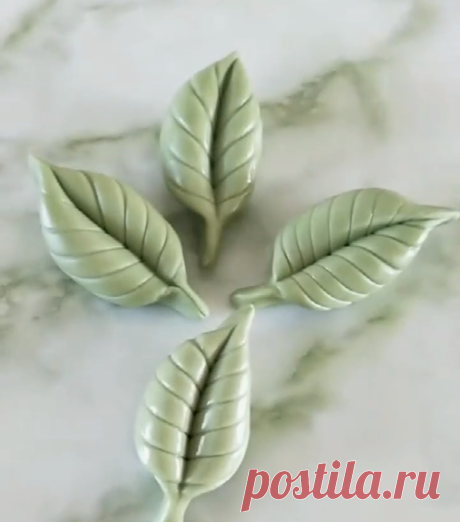 (1) Pinterest