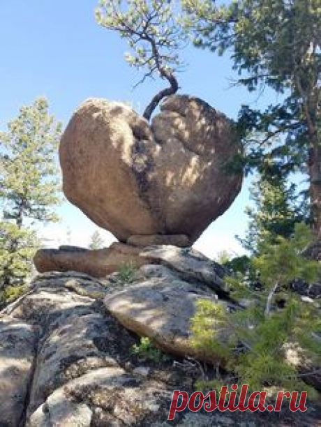 Pinterest