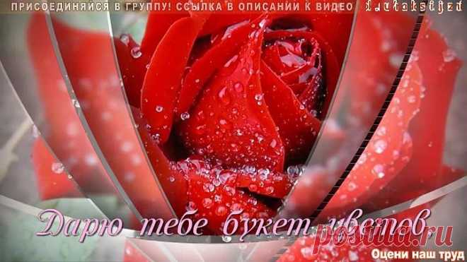 Дарю тебе я много роз! (Бесплатный музыкальный подарок)