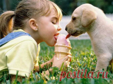 Мой Мир@Mail.Ru