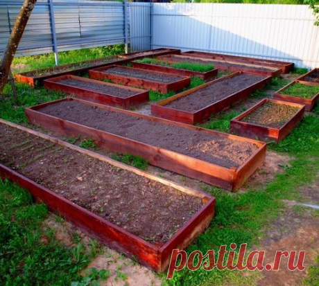 Теплые грядки на моем участке