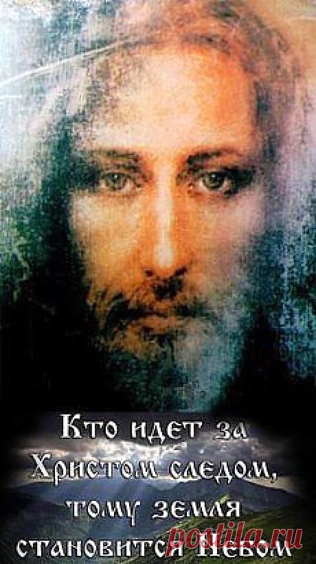 (2) Одноклассники