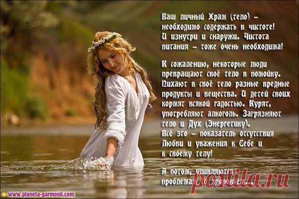Зашлакованность. Неправильное питание: скопление слизи в организме и методы ее выведения.

Hа мой взгляд, многие проблемы человеческого здоровья коренятся в переполненной отходами выделительной системе организма. В большинстве случаев закупорка происходит за счет слизи. А сами вы свободны от слизи? Задумайтесь об этом. Скапливается ли слизь в вашей носоглотке? А как насчет носа? Сколько раз вдень вы достаете носовой платок? сколько раз выплевываете слизь и мокроту?>>>
