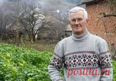 Грядки Розума | Природное земледелие