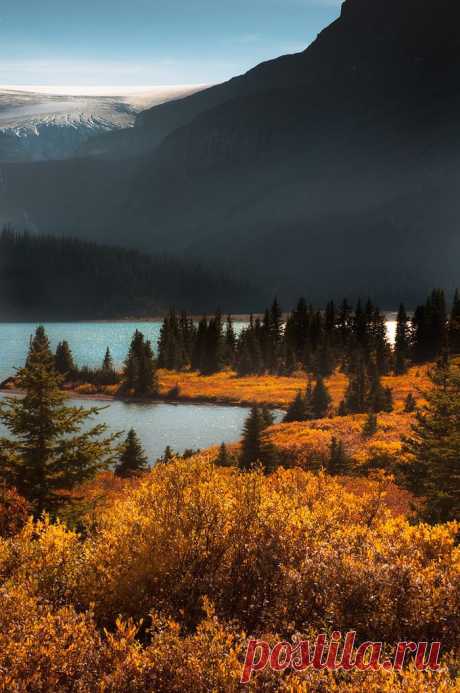 Autumn: Discover and save creative ideas