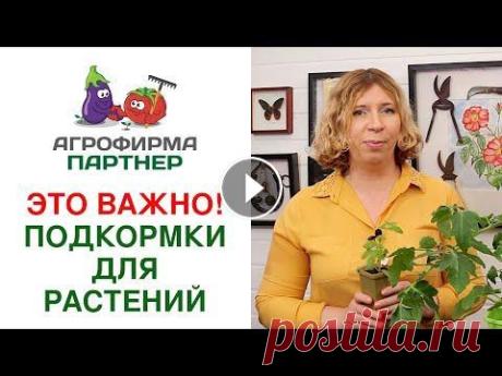 ЭТО ВАЖНО! ПОДКОРМКИ ДЛЯ РАСТЕНИЙ ЭТО ВАЖНО! ПОДКОРМКИ ДЛЯ РАСТЕНИЙ На данный момент главная задача - это вырастить качественную рассаду. И важно не наделать ошибок, которые могут в од...