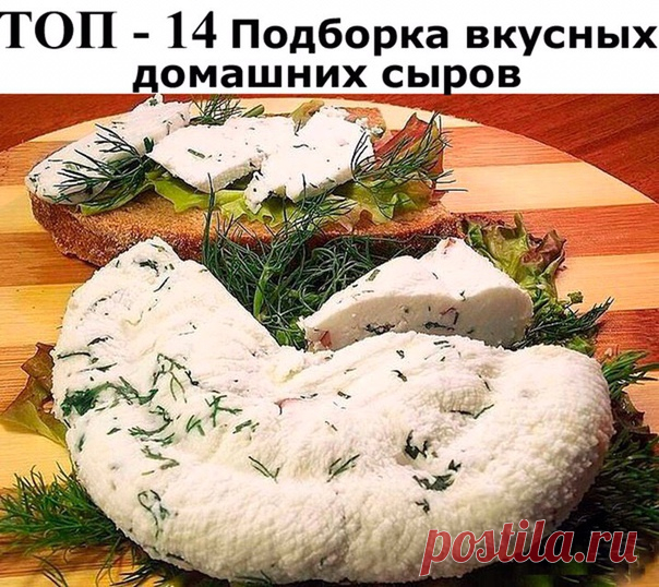 ТОП - 14 Подборка вкусных домашних сыров 

1.Домашняя моцарелла.

Ингредиенты:

На 2 порции:
● 1 л молока
● 125 г натурального йогурта
● 1,5 ч.л. соли (можно больше, кто как любит) получается не сильно солёная
● 1 ст.л. уксусной эссенции (25%)

Приготовление:

Молоко с солью нагреть, но не доводить до кипения. Добавить йогурт, перемешать, добавить уксус, хорошо перемешать и убрать с плиты. Дуршлаг застелить чистой марлей свёрнутой примерно в 4 слоя, вылить туда свернувшеес...