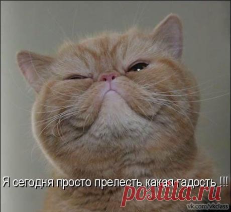 Интересные новости