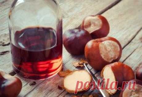 Лечение конским каштаном | Правила здоровья и долголетия