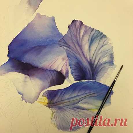 New #watercolor in progress
.
#watercolorflowers #blue #iris#blueiris #artgallery #finesrt#artstudio #watercolour #realistic #artoftheday #picoftheday #artsy#handpainted  by #me #beauty# #aquarelle #acuarela #flowers#painting #workinprogress #happysaturday