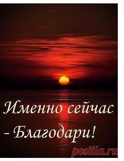 Будьте благодарны за каждую из встреч Автор: Владимир Шустов.