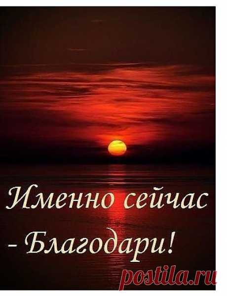 Будьте благодарны за каждую из встреч Автор: Владимир Шустов.