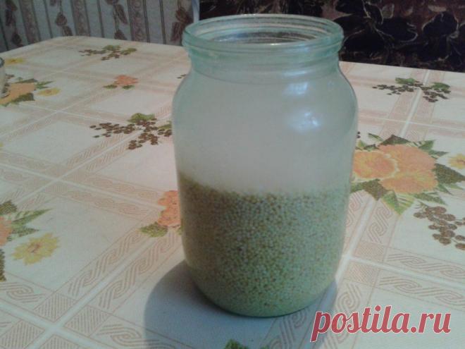 О ЧЕМ МОЛЧАТ ВРАЧИ — ЛЕЧЕНИЕ ПОЧЕК БЕЗ ХИМИИ — Zdorovo-Tut