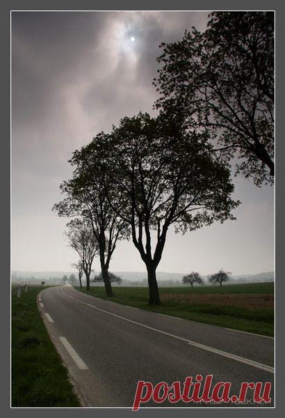 Избранное | Фотографии Елена Жёлтышева | 75 фото