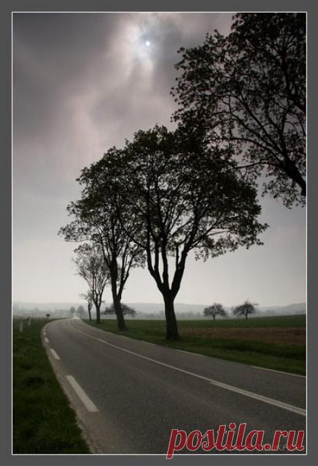 Избранное | Фотографии Елена Жёлтышева | 75 фото