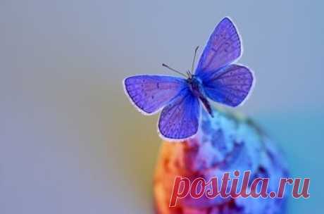 Бесплатные изображения и более 300 тыс. стоковых фотографий - бесплатно - FreeImages.com