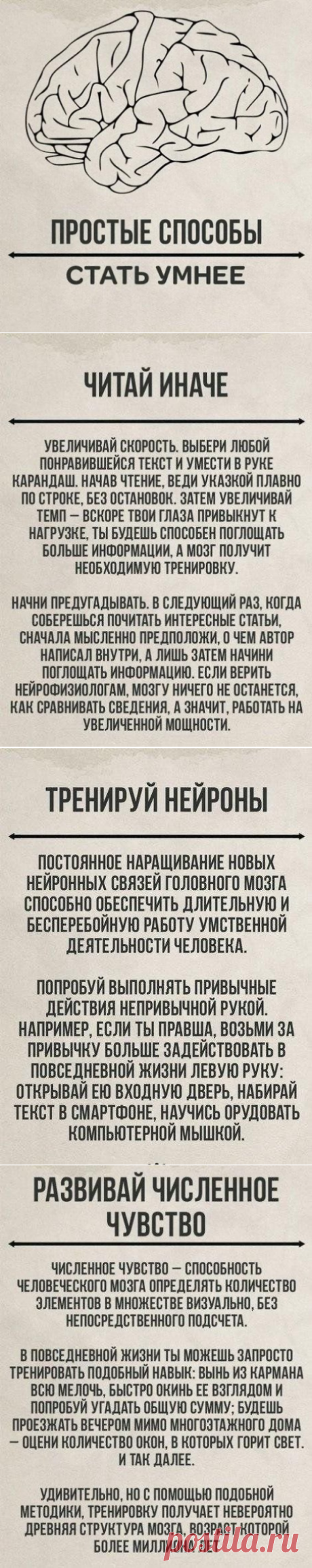 Простые способы стать умнее