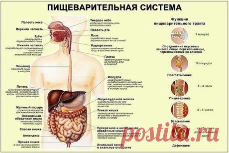 Интересные новости