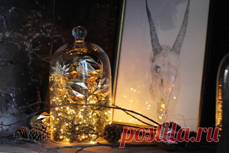 Фотоохота: где [кроме елки] пригодятся гирлянды