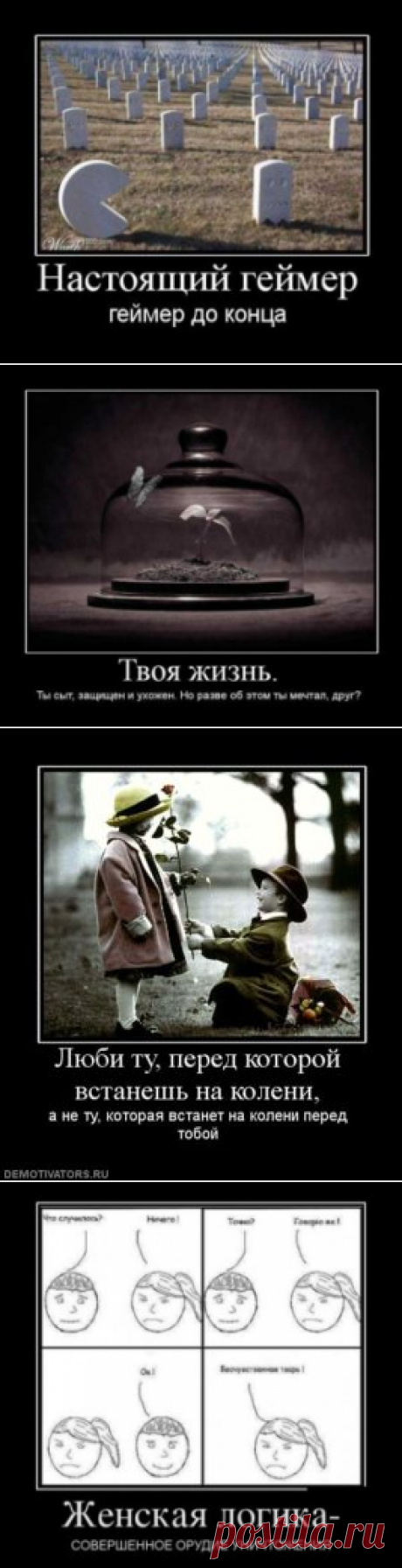 Юмор про жизнь. Жизненные демотиваторы