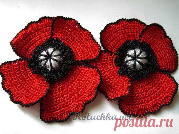 МАК ПОЛЕВОЙ от Лены–koluchka... мастер-класс с пошаговыми фотографиями....