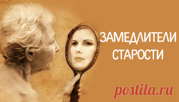 Замедлители старости
  Замедлители старости Замедлители старости Что же позволяет одним в 60 лет...
Читай пост далее на сайте. Жми ⏫ссылку выше