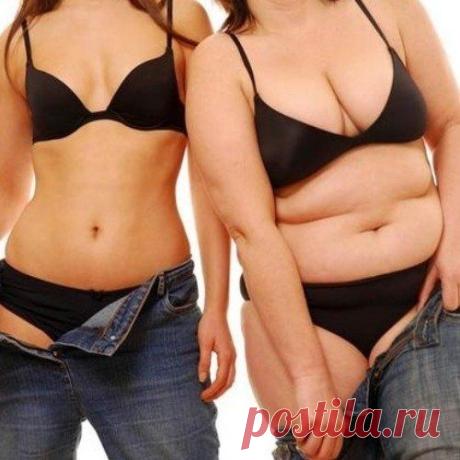 Исключив всего 5 продуктов похудеете на 10 кг! | На здоровье | Postila