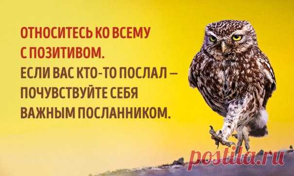 7 СПОСОБОВ ИЗМЕНИТЬ СВОЕ ОТНОШЕНИЕ К ЖИЗНИ.